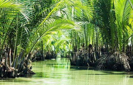 Full-day Can Gio Eco Escape And Wildlife Discovery