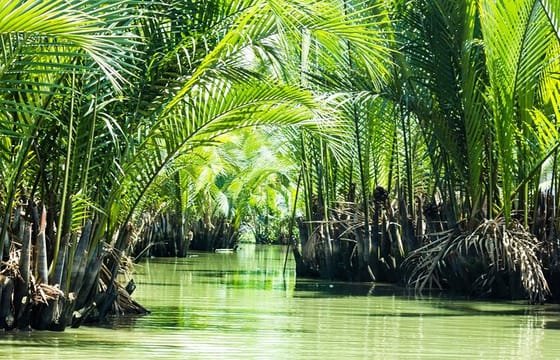 Full-day Can Gio Eco Escape And Wildlife Discovery