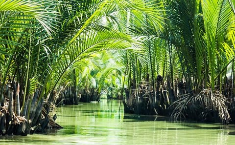 Can Gio Eco Tour and Wildlife Discovery from Ho Chi Minh City