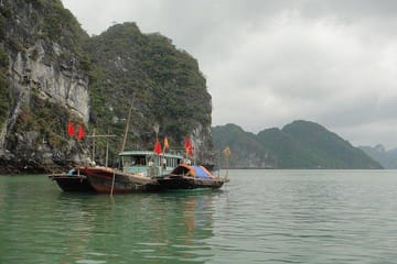 Full-day Exploring Ha Long Bay Wonders