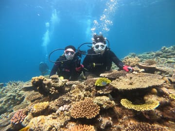 SCUBA Diving Experience in Nago, Okinawa's Vibrant Waters