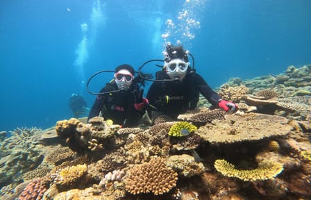 SCUBA Diving Experience in Nago, Okinawa's Vibrant Waters