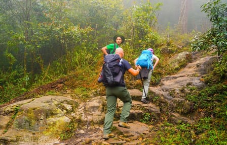 Two-Day Fansipan Mountain Trekking from Hanoi to Sapa