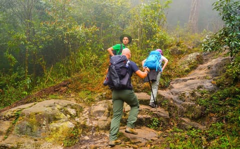Two-Day Fansipan Mountain Trekking from Hanoi to Sapa