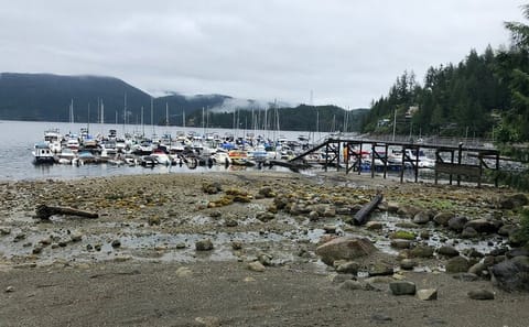 Kayaking Adventure in Deep Cove, Metro Vancouver