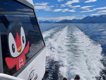 2-Day Adventure Tour in Ushuaia with Beagle Channel Cruise