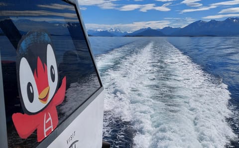 2-Day Adventure Tour in Ushuaia with Beagle Channel Cruise