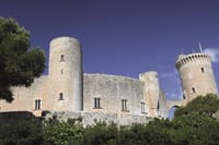 Palma de Mallorca Guided Tour with Hotel Pick up 8