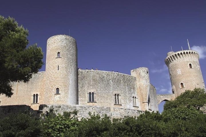 Palma de Mallorca Guided Tour with Hotel Pick up 8