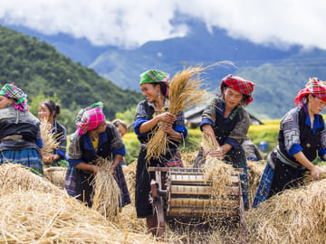 3-Day Adventure Tour to Mu Cang Chai Rice Fields from Hanoi