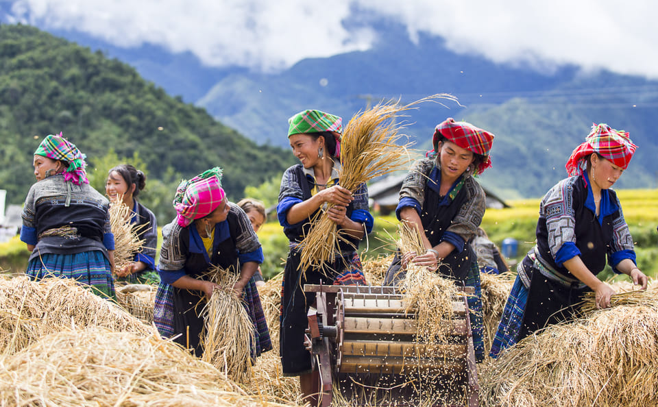 3-Day Adventure Tour to Mu Cang Chai Rice Fields from Hanoi