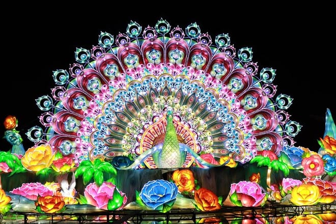 Dubai Glow Garden photo 2