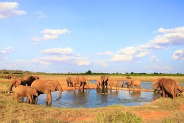 Tsavo East National Park Wildlife Safari Day Trip from Mombasa
