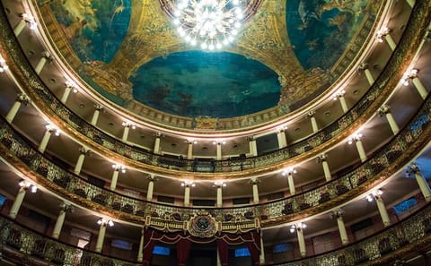 9-Day Culinary and Cultural Tour of Rio de Janeiro and Manaus