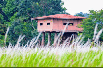 Khao Yai National Park Adventure: Waterfalls & Hiking Trails