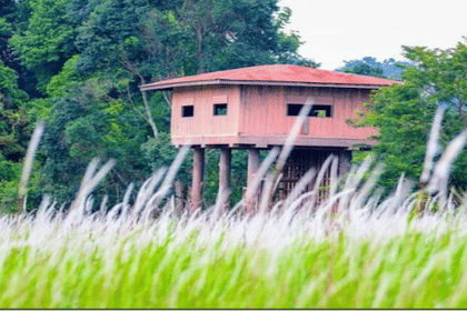 Khao Yai National Park Adventure: Waterfalls & Hiking Trails