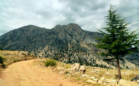 Lycian Way Hike with Private Boat Trip