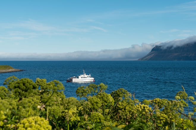 Boat ride from Aðalvík