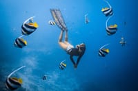 Private Los Cabos snorkeling tour to Chileno bay and Santa Maria cove 1
