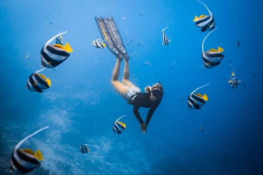 Private Los Cabos snorkeling tour to Chileno bay and Santa Maria cove