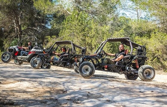 Side Quad and Buggy Safari Adventure