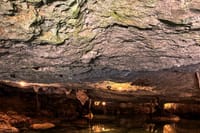 Yaxmuul Cenote Park: Guided Tour with Mayan Ceremony 4