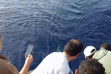 Fishing and Snorkeling Tour in Hurghada, Egypt