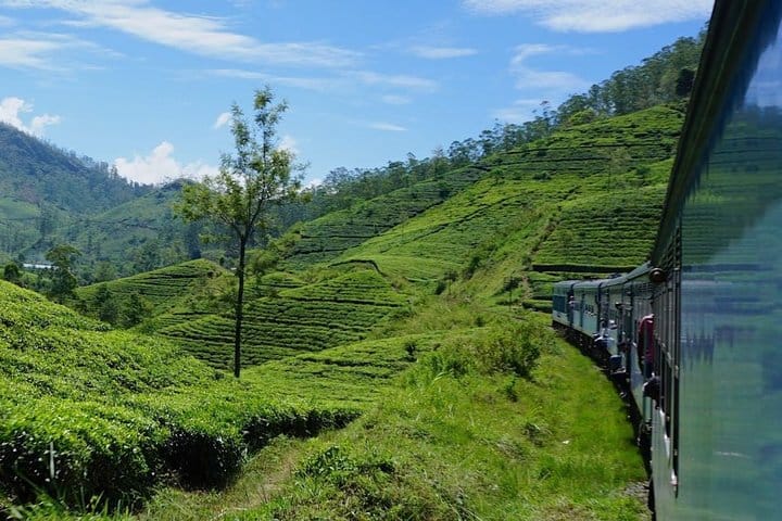 04 Nights & 05 Days Tour In Sri Lanka  8