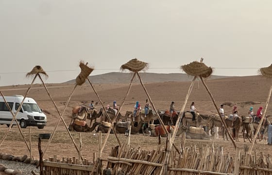Marrakesh camel ride with dinner show