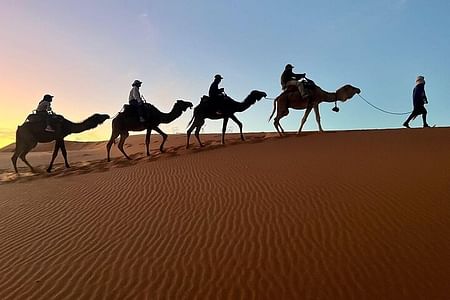 Sahara Desert Adventure from Casablanca: Explore Fes, Merzouga & Marrakech