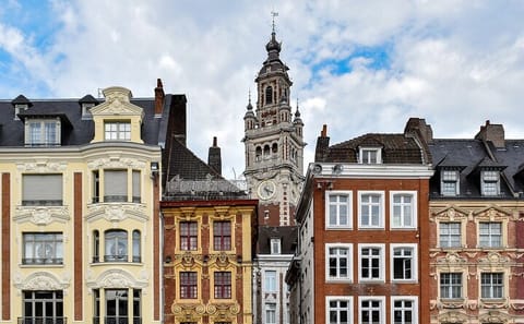 Private Historic Walking Tour of Lille's Architectural Highlights