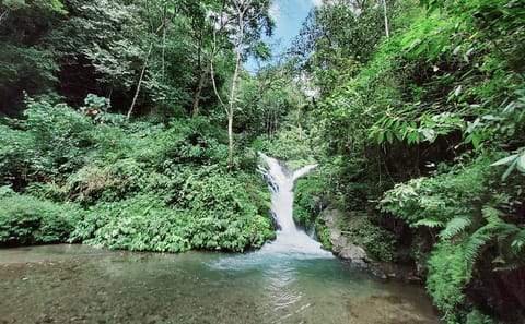 Bali Waterfall Trekking Tour at Pucak Manik Waterfall