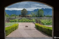 Visit Vistalba Winery