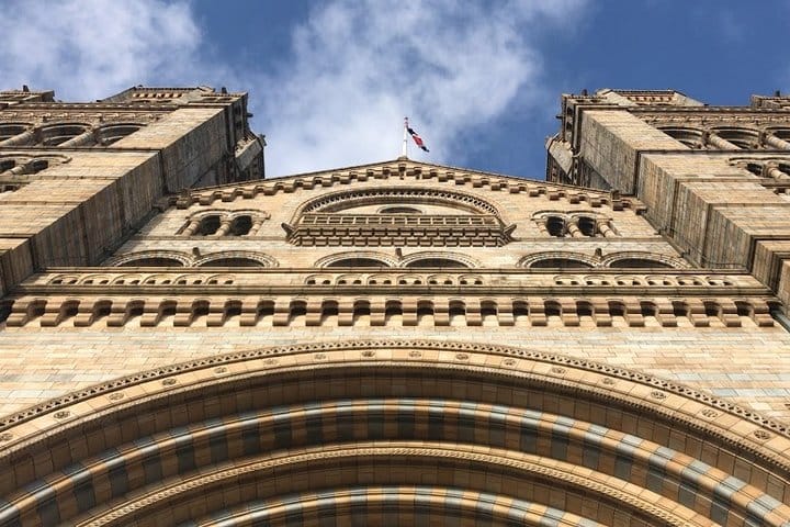 A Day at the Museum - Natural History Museum London 6