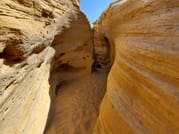 Paradise valley & Sand dunes - daily trip 7