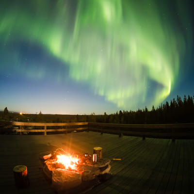 Watching the Northern Lights from a campfire on a reindeer pasture in Rovaniemi - Image 10
