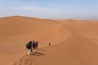 Walking Trip Sunset Into Erg Chebbi Dunes, with Local Guide, No Extra Fee. 1