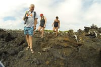 Tourists