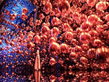 Explore TeamLab Phenomena: Immersive Art Experience in Abu Dhabi