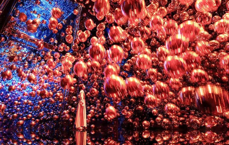Explore TeamLab Phenomena: Immersive Art Experience in Abu Dhabi