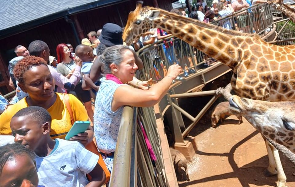 Classic Nairobi City Tour Safari-Free WI FI