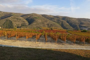 Troodos Mountains Wine Tasting and Village Tour from Limassol