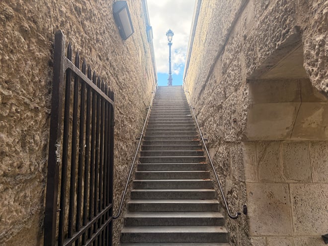 Private Île de la Cité and Notre-Dame Exterior Walking Tour