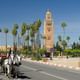 Half-Day Marrakech Highlights: Medina, Palaces, and More
