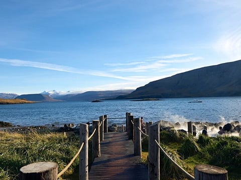Private Family Golden Circle & Hvammsvík Hot Springs Tour, photo 6