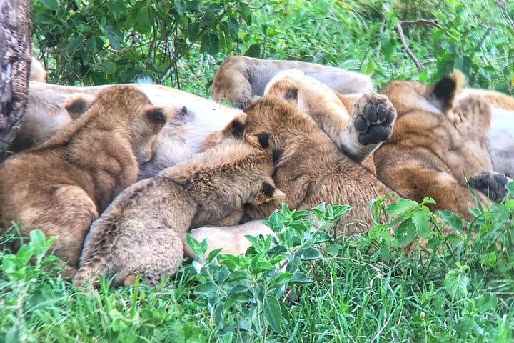 Lake Manyara