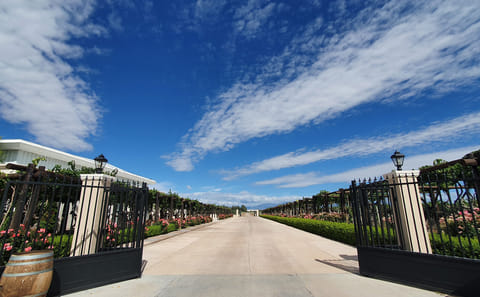 Luxury Wine Resort Getaway in Mendoza, Argentina