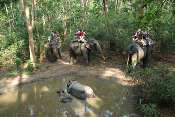 4 Days – Chitwan National Park Safari Wildlife Discovery (Filming Option)