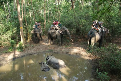 4 Days – Chitwan National Park Safari Wildlife Discovery (Filming Option)