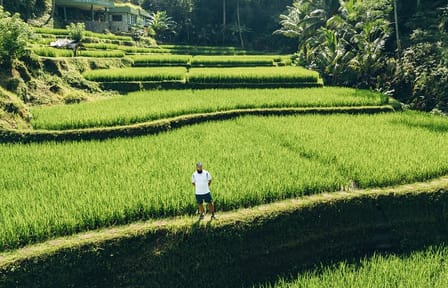 Bali Full Day Private Shore Excursion